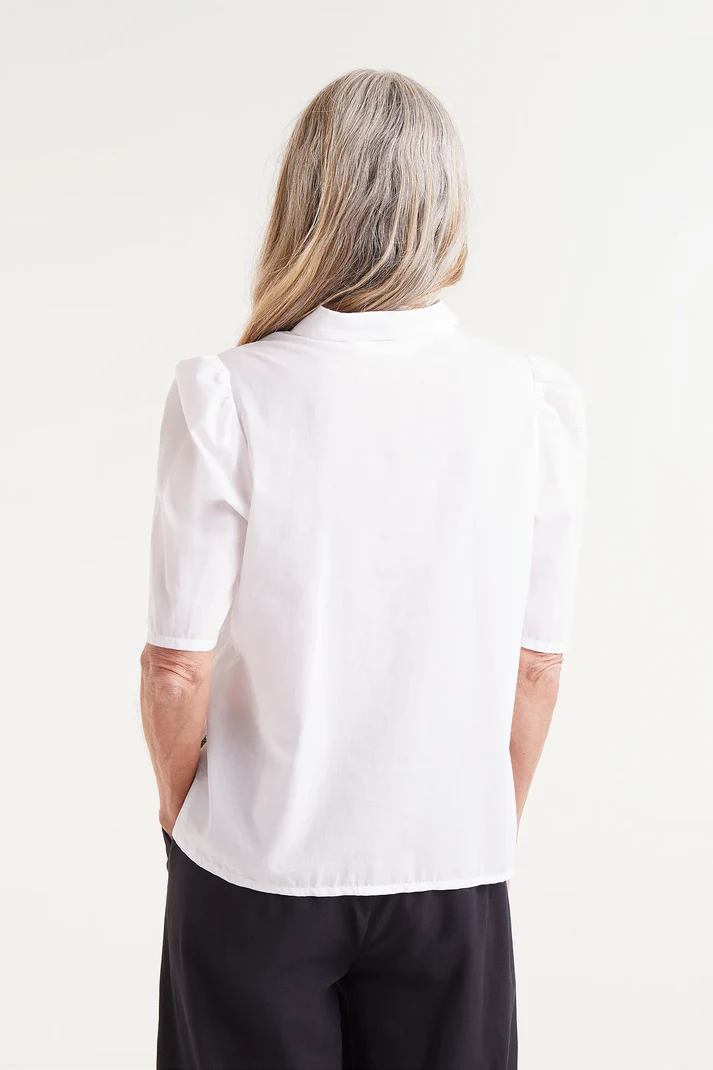 CAMISA DE CEBRAS
